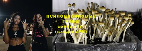гидропоника Алексеевка