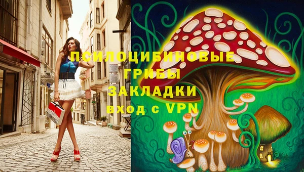 твердый Алексин