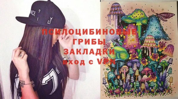 твердый Алексин