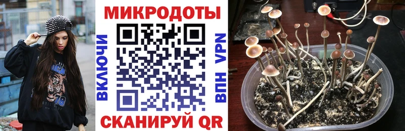 хочу наркоту  Алушта  Галлюциногенные грибы ЛСД 