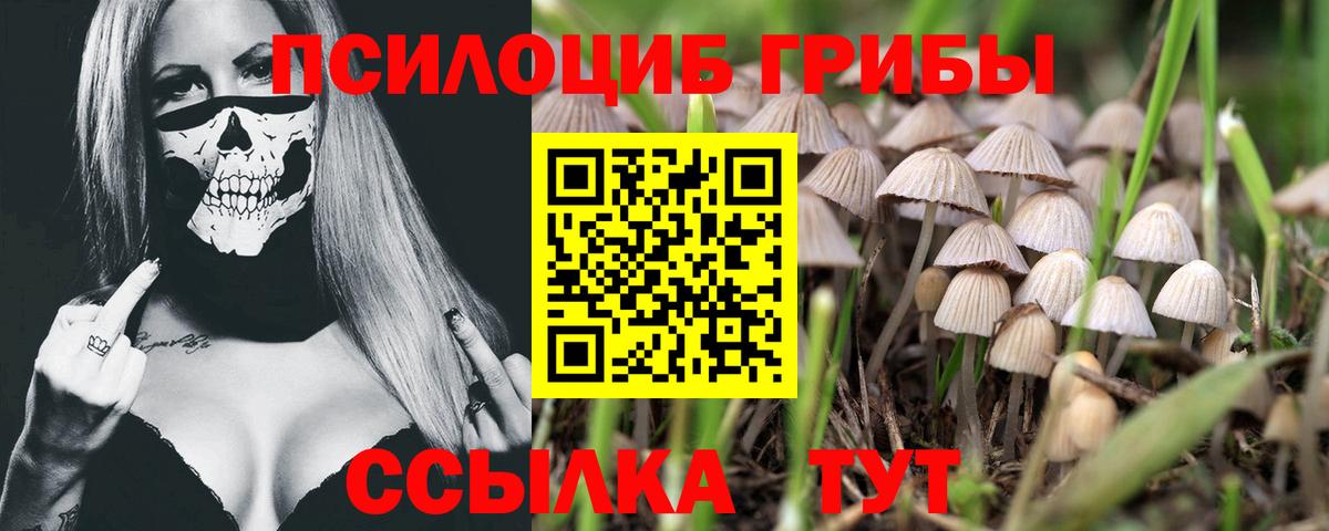 Алушта  Псилоцибиновые грибы мухоморы  купить  сайты  Вход с VPN 